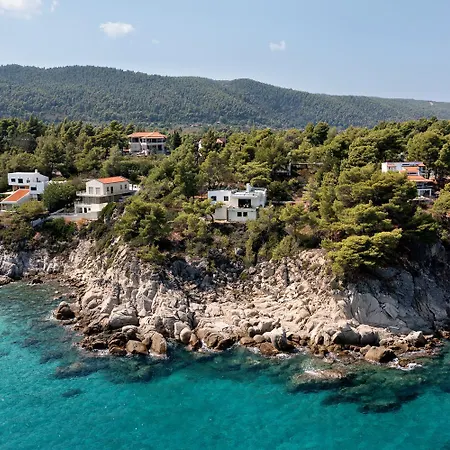 Seashells & Pines In #feelslikehome