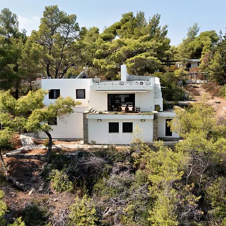 Seashells & Pines In #feelslikehome