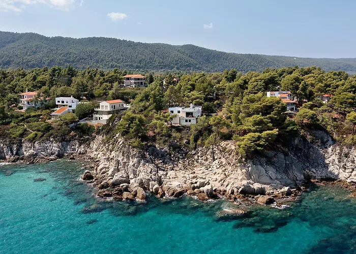 Seashells & Pines In #feelslikehome